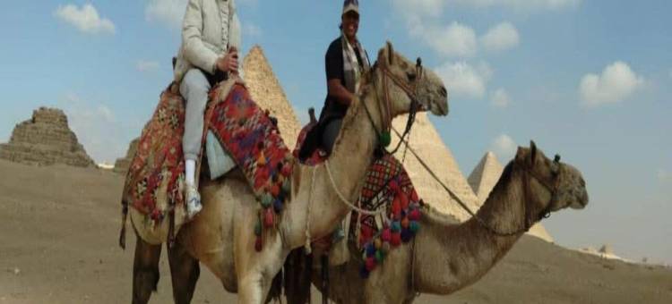 内菲尔塔利金字塔景观旅馆(Nefertari Pyramids View Inn)图片