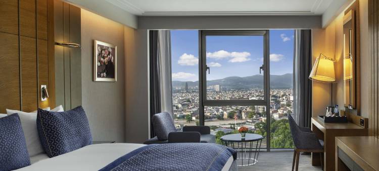 瑞享温泉水疗酒店(Mövenpick Bursa Hotel and Thermal Spa)图片