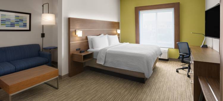 智选假日套房酒店新伊比利亚 - 艾利岛(Holiday Inn Express & Suites NEW IBERIA-AVERY ISLAND by IHG)图片
