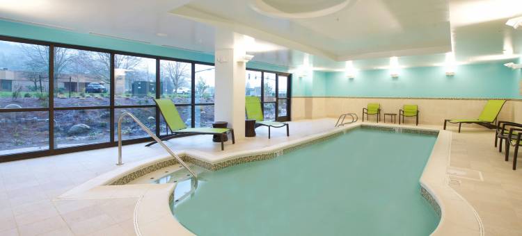 西雅图伊萨夸市SpringHill Suites酒店(SpringHill Suites Seattle Issaquah)图片