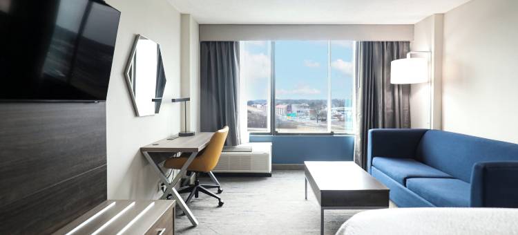 洲际酒店集团智选假日酒店 - 华盛顿特区西南斯普林菲尔德(Holiday Inn Express WASHINGTON DC SW - SPRINGFIELD by IHG)图片