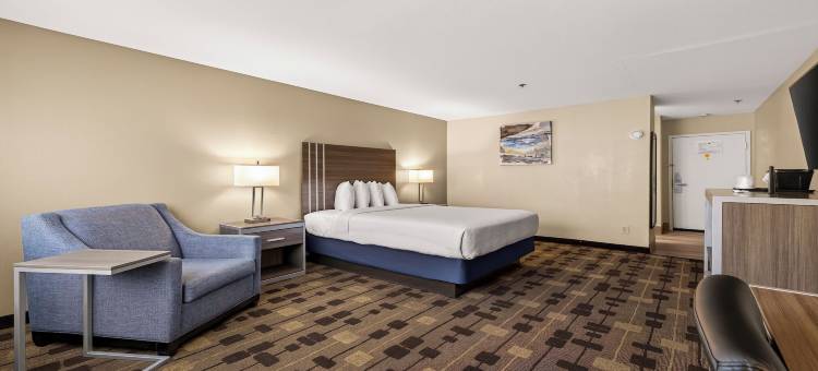 阿马多尔贝斯特韦斯特酒店(Best Western Amador Inn)图片