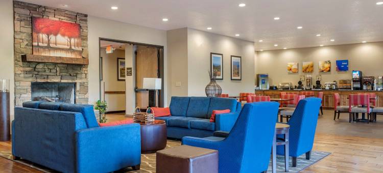 舒适套房酒店(Comfort Inn & Suites)图片