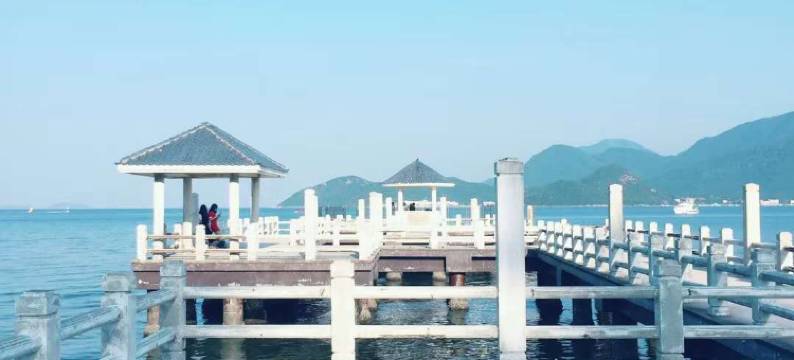 深圳108号院子度假民宿图片