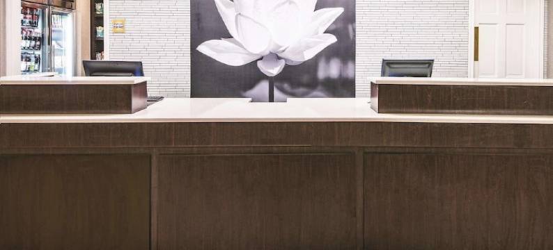 北伍德兰兹温德姆速 8 酒店(Super 8 by Wyndham The Woodlands North)图片