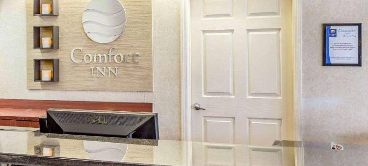 舒适酒店-马修斯地区夏洛特(Comfort Inn Matthews / Charlotte)图片