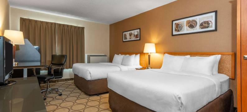 锡姆科舒适酒店(Comfort Inn)图片