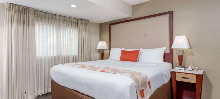 北查尔斯顿浩枫温德姆公寓(Hawthorn Suites by Wyndham North Charleston SC)图片