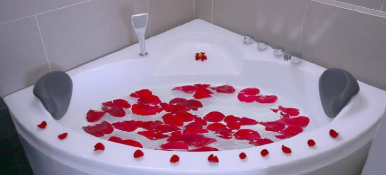 芽庄新阳酒店(New Sun Hotel)图片