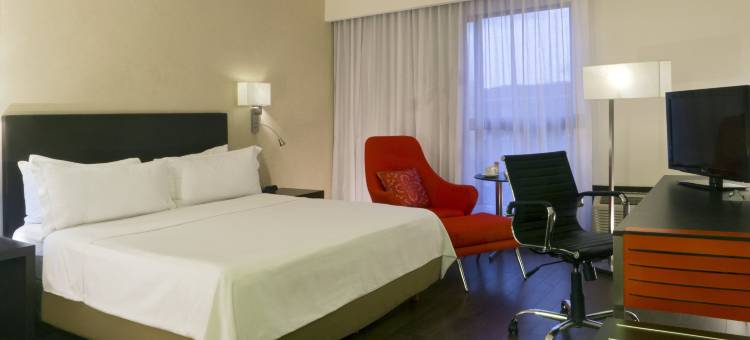 莱昂庆典酒店(Fiesta Inn Leon)图片