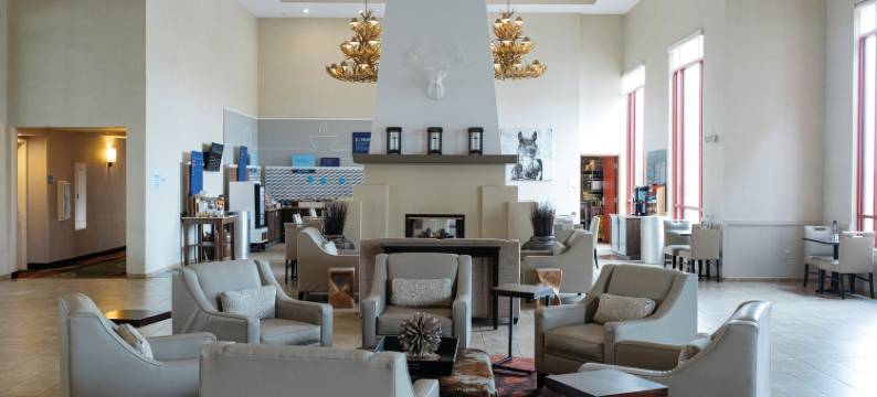 北奥拉西智选假日酒店及套房(Holiday Inn Express & Suites OLATHE NORTH by IHG)图片