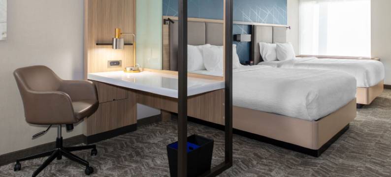 马里奥特杜汉姆市景观SpringHill套房(SpringHill Suites Durham City View)图片