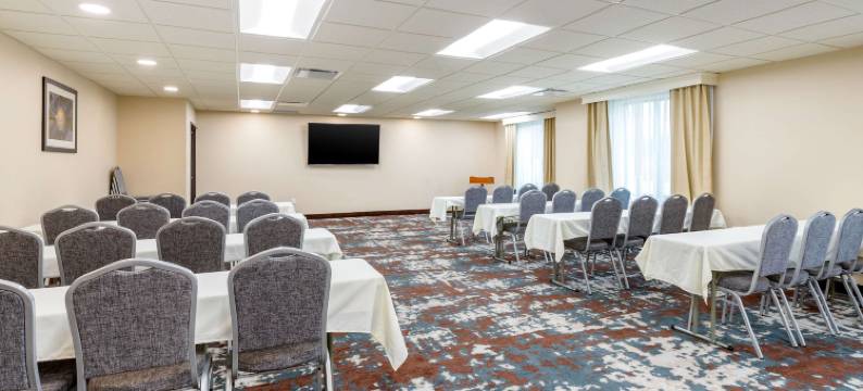 西德梅茵舒适套房酒店(Comfort Inn & Suites West des Moines)图片