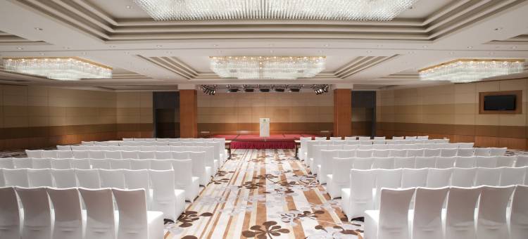 天津海河假日酒店(天津之眼店)图片