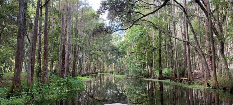 奥兰多格兰德莱克斯JW万豪酒店(JW Marriott Orlando Grande Lakes)图片