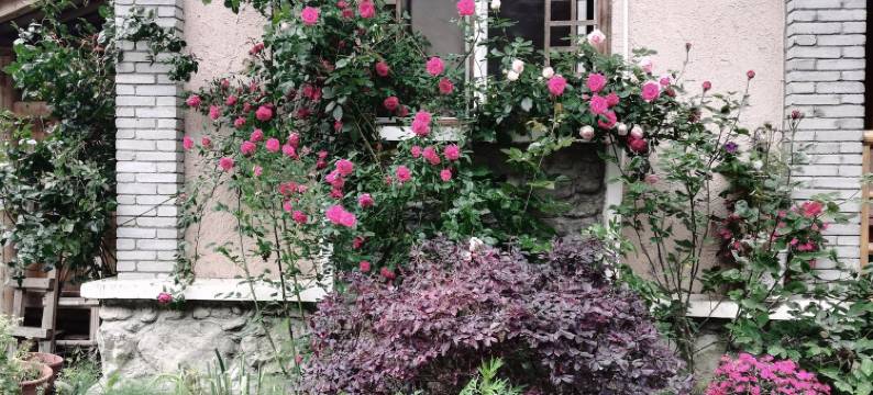 罗国文特色民宿(蜂大路分店)图片