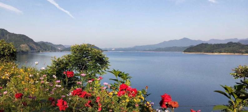 仙根农庄(新淳线分店)图片