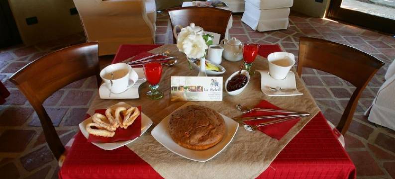 乐索尔酒店(Le Soleil)图片