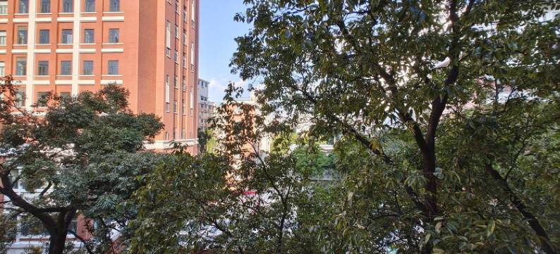 印巧儿公寓(执信南路分店)图片