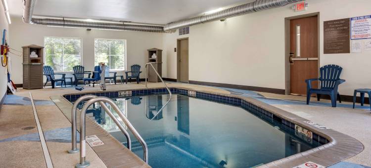 舒适酒店(Comfort Inn)图片