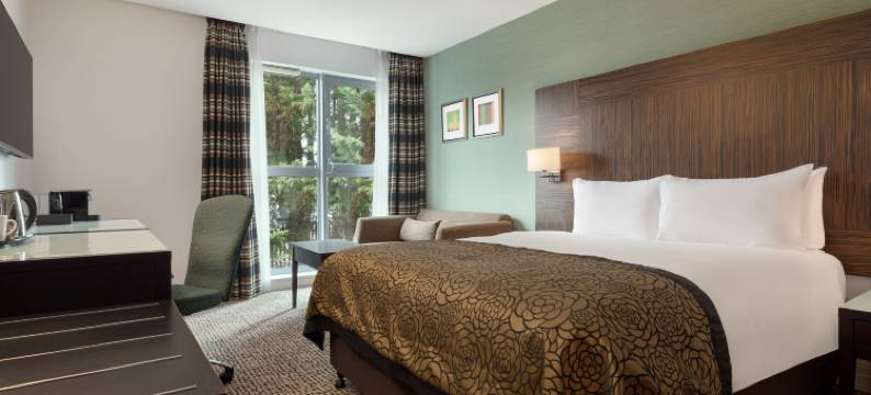 Holiday Inn 伯明翰机场(Holiday Inn BIRMINGHAM AIRPORT - NEC by IHG)图片