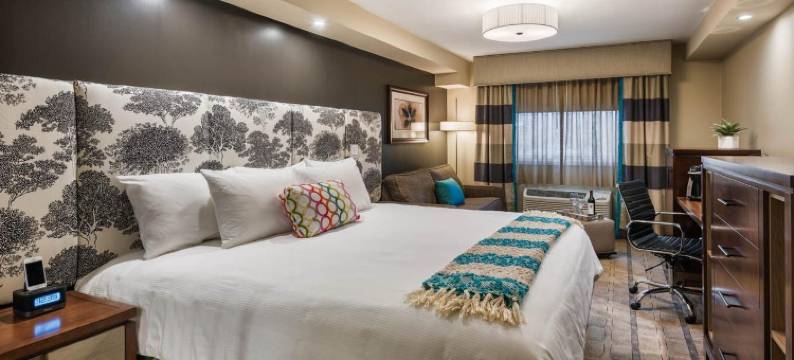 肯尼尔沃思酒店 - 机场西(The Kenilworth Hotel - Airport West)图片