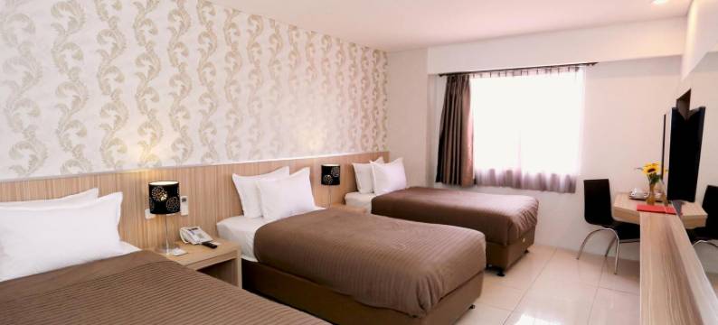 HAP大酒店(Grand Hap Hotel)图片