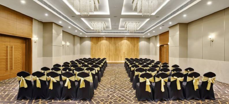 纳特德瓦拉丽笙酒店(Radisson Hotel Nathdwara)图片