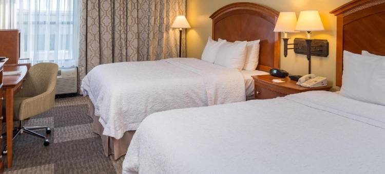 圣安东尼奥石橡树希尔顿欢朋酒店(Hampton Inn San Antonio Stone Oak)图片