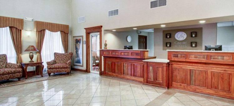 凯隆酒店(Clarion Suites)图片