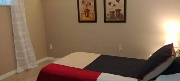 Bradford Vacation图片