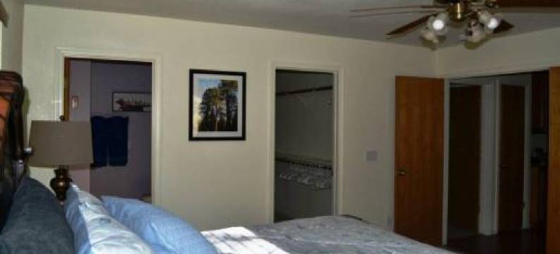 Blue Jay Paradise图片