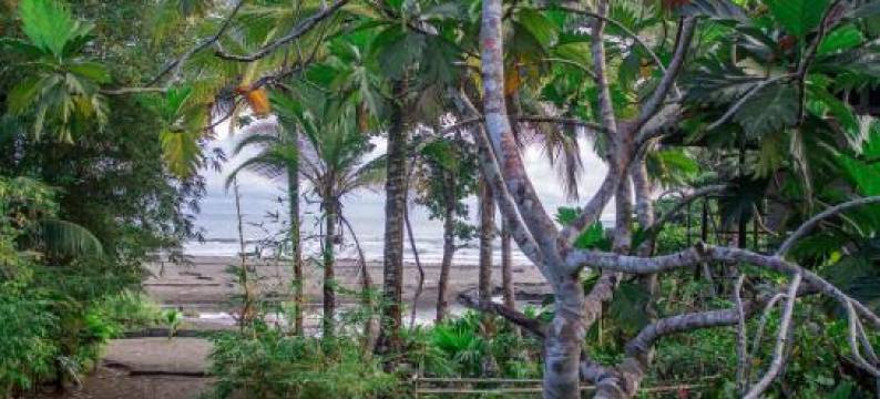 The Pelican House Hostel图片