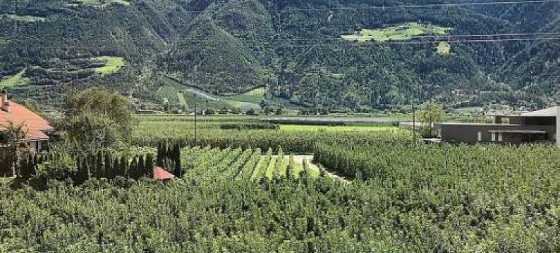 Pixnerhof Chalet Bonita图片