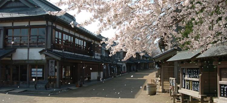 成田U-城市酒店(Narita U-City Hotel)图片