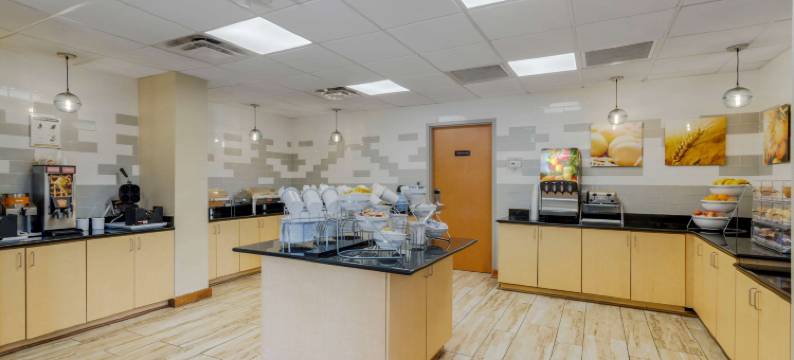 亚特兰大南斯托克布里奇舒适套房酒店(Comfort Suites Stockbridge Atlanta South)图片