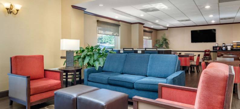 萨沃尼舒适套房酒店-秀格尔洛弗(Comfort Inn & Suites Suwanee - Sugarloaf)图片