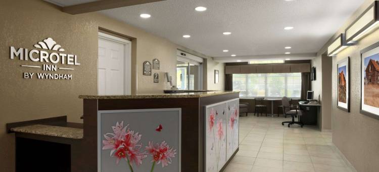 矿泉井城-帕克斯堡麦客达套房酒店(Microtel Inn & Suites by Wyndham Mineral Wells/Parkersburg)图片