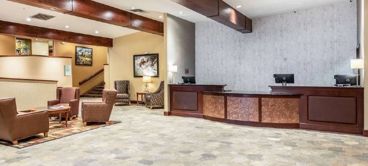 白峰酒店(WHITE PEAK HOTEL by IHG)图片