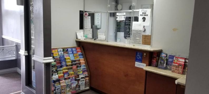 好莱坞星星旅馆(Hollywood Stars Inn)图片