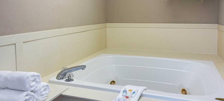 肯顿舒适酒店(Comfort Inn Camden)图片