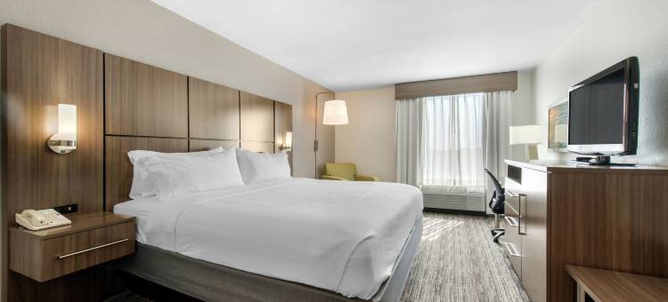 Holiday Inn 墨尔本韦奇立会议CTR(Holiday Inn Melbourne-Viera Conference Ctr)图片