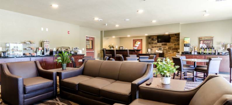 欧尔德鹅卵石套房酒店(Cobblestone Inn & Suites - ORD)图片