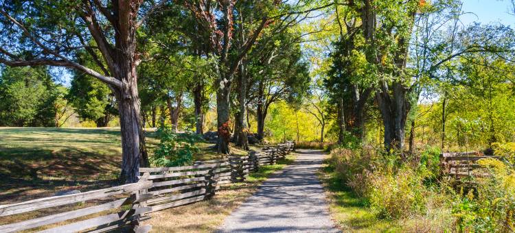 Staybridge Suites 莫夫里斯波洛(Staybridge Suites Nashville SE - Murfreesboro)图片