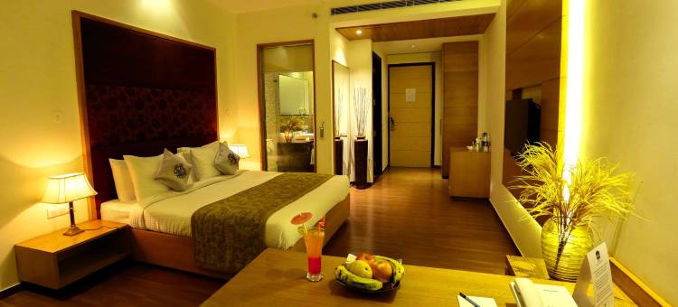 安巴拉贝斯特韦斯特乡村伍兹酒店(Best Western Country Woods Ambala)图片