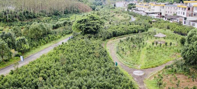 张浮玉特色民宿图片