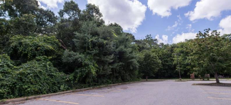 新伦敦速8酒店(Super 8 by Wyndham Groton)图片