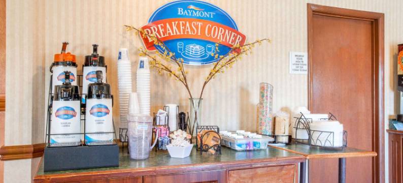 底特律/罗斯维尔温德姆呗盟酒店(Baymont by Wyndham Detroit/Roseville)图片