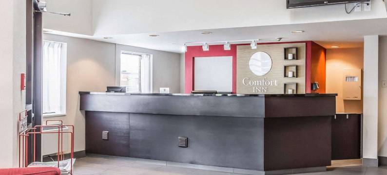 舒适酒店(Comfort Inn)图片