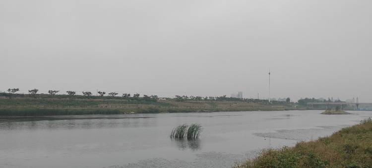 xwj君公寓(熊城线分店)图片